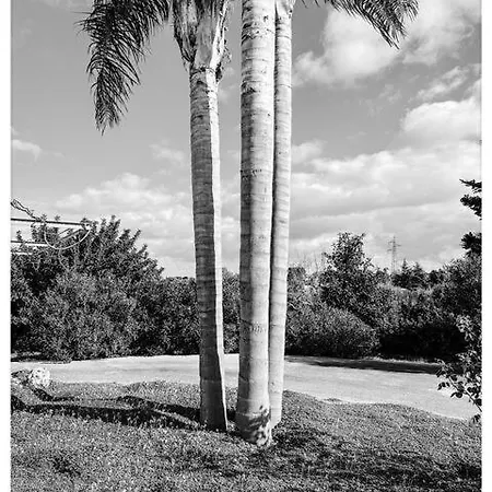 La Casa Di Babette Polignano a Mare