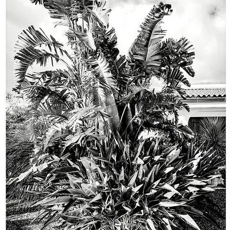 La Casa Di Babette Villa *