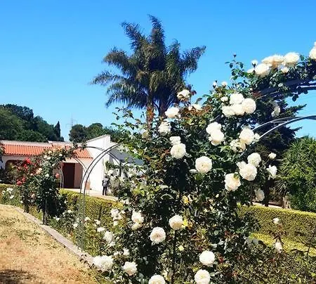 La Casa Di Babette Villa Polignano a Mare