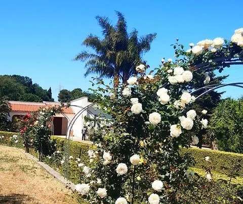La Casa Di Babette 빌라 폴리나노 아마레